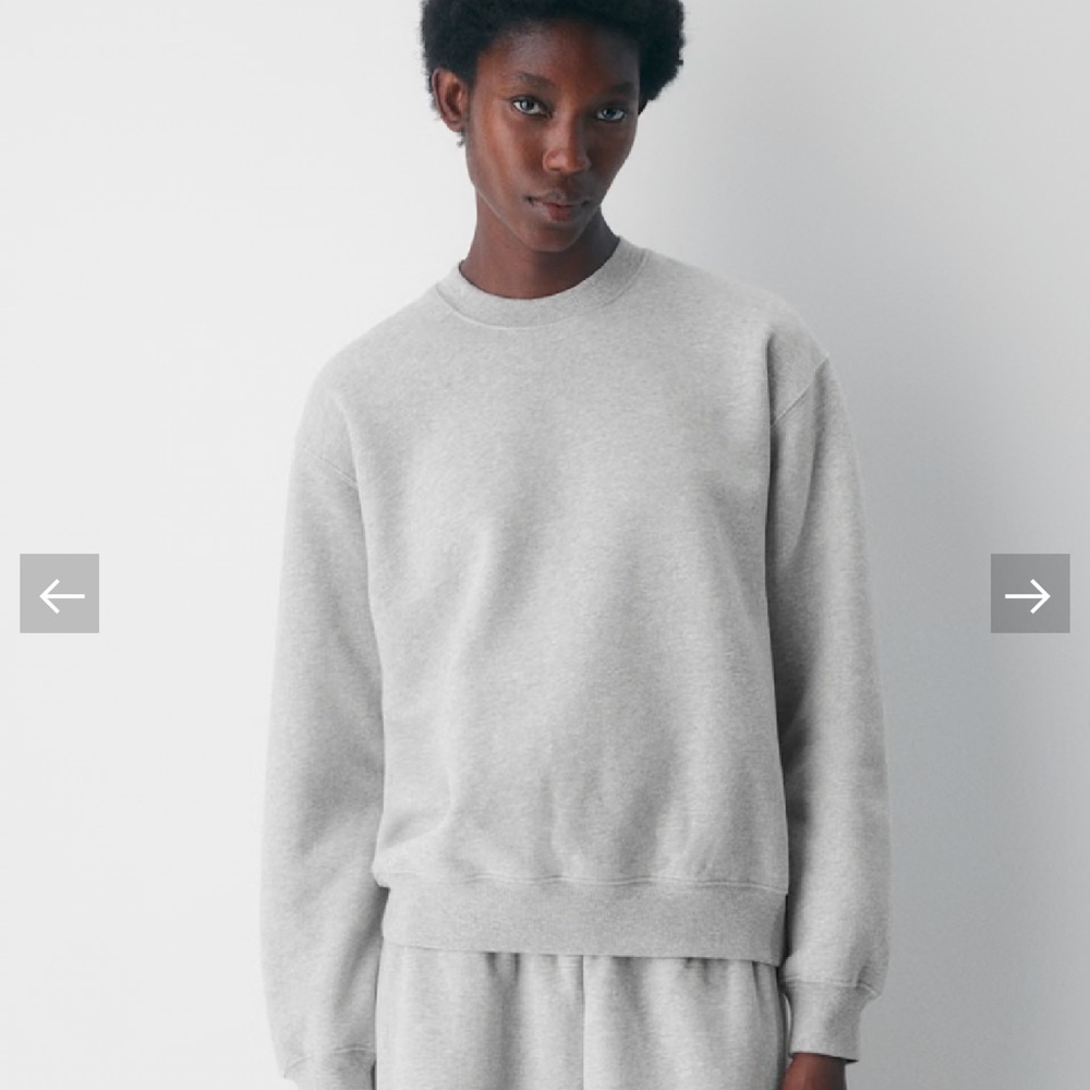 Aritzia Crewneck Sweatshirt - Light Gray